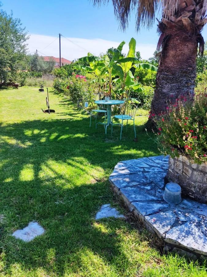 Apartament Morfi Kalligoni Zewnętrze zdjęcie